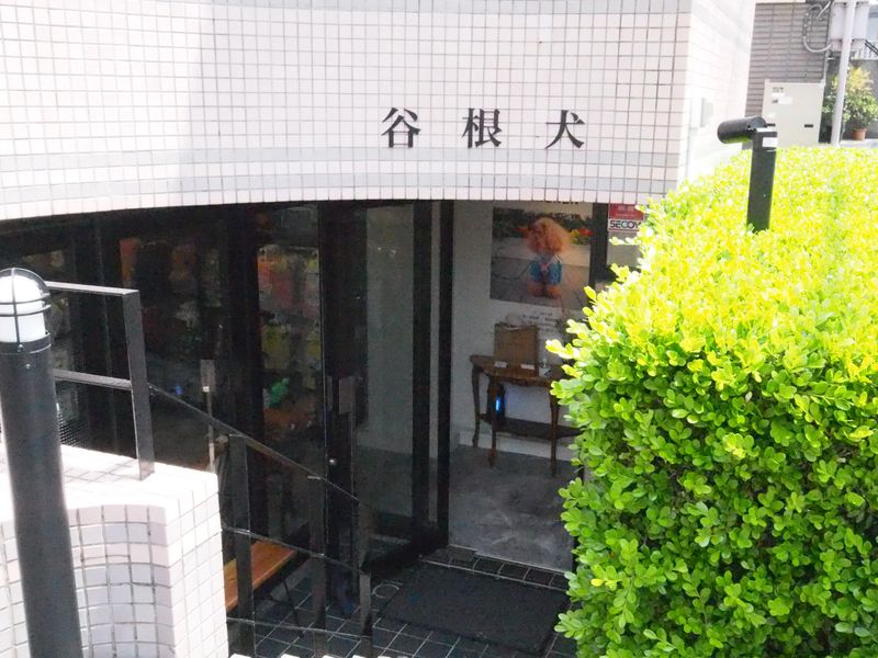 谷根犬のアルバイト・バイト求人情報-03