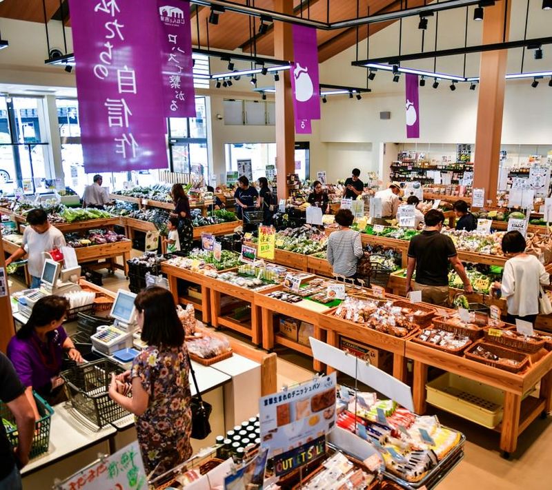 株式会社メゾネットの求人・転職情報