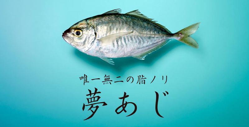 株式会社さかなドリームの求人・転職情報