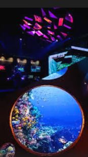 アークベンチャーズ株式会社の求人・転職情報