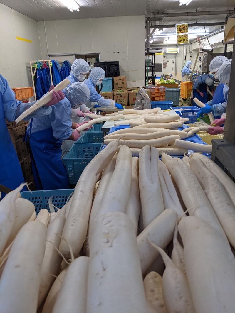 野島食品株式会社のアルバイト・バイト求人情報-02