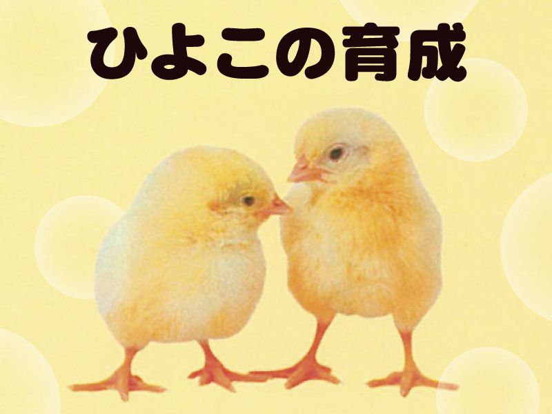 株式会社北越鶏園の求人・転職情報