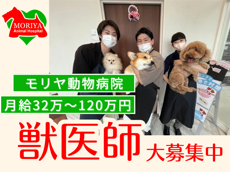 モリヤ動物病院の求人・転職情報