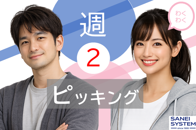 サンエイシステム株式会社