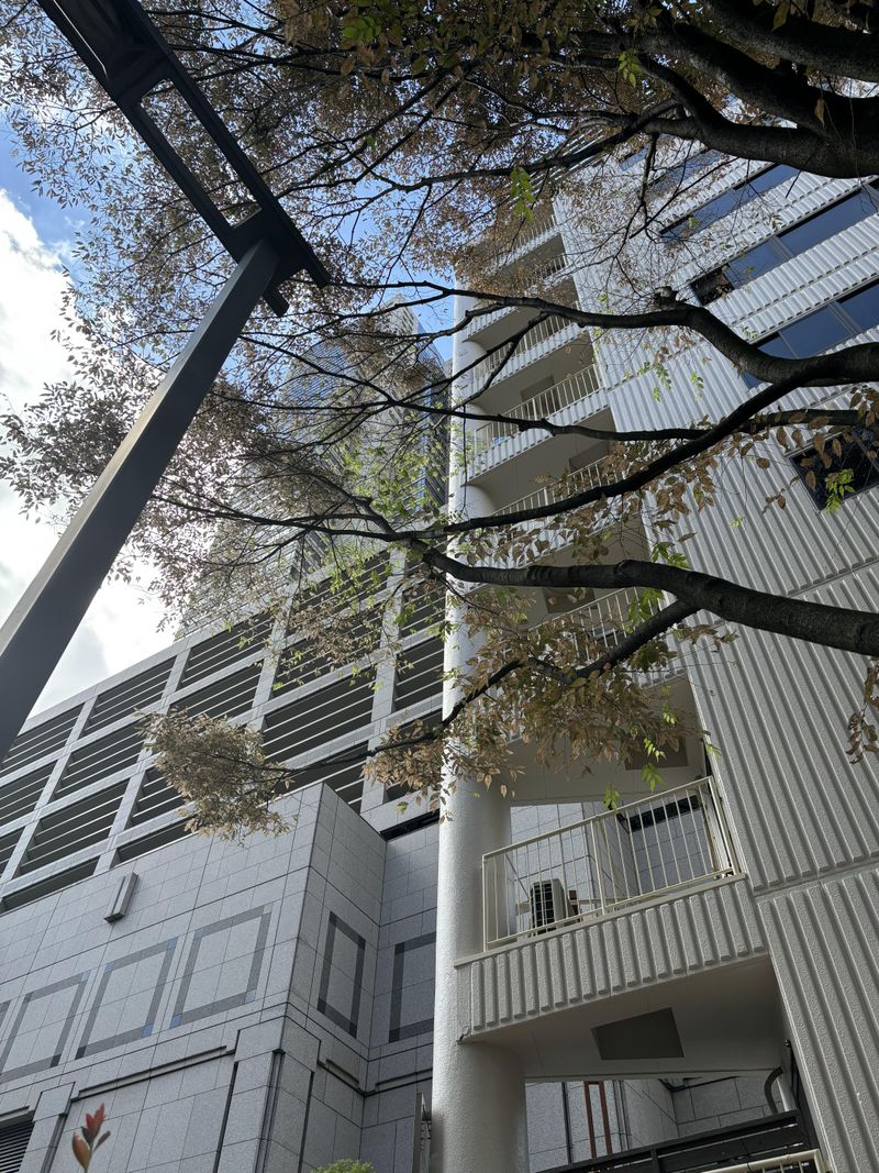 株式会社チャーリー・ソフトウェアの求人・転職情報／データ分析の基盤作成(PG・SE)｜はたらいく