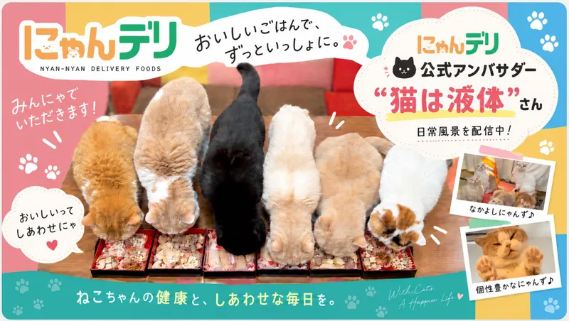 合同会社わんわんわんこの求人・転職情報