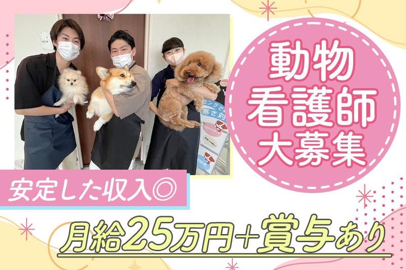 モリヤ動物病院の求人・転職情報