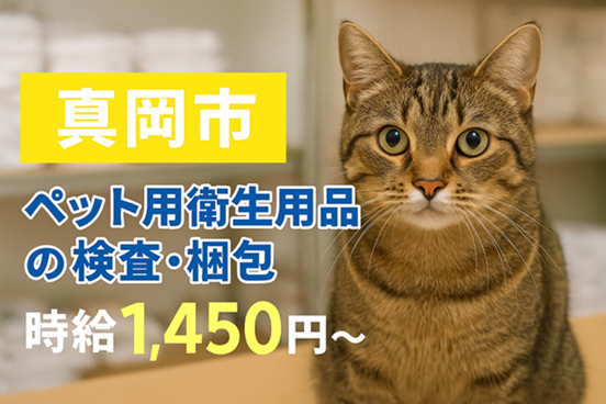 株式会社スタッフブレーンの派遣求人情報