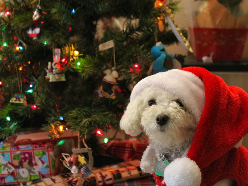 ヤマモト食販株式会社のアルバイト・バイト求人情報-03