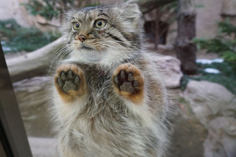 那須どうぶつ王国のアルバイト・バイト求人情報-02