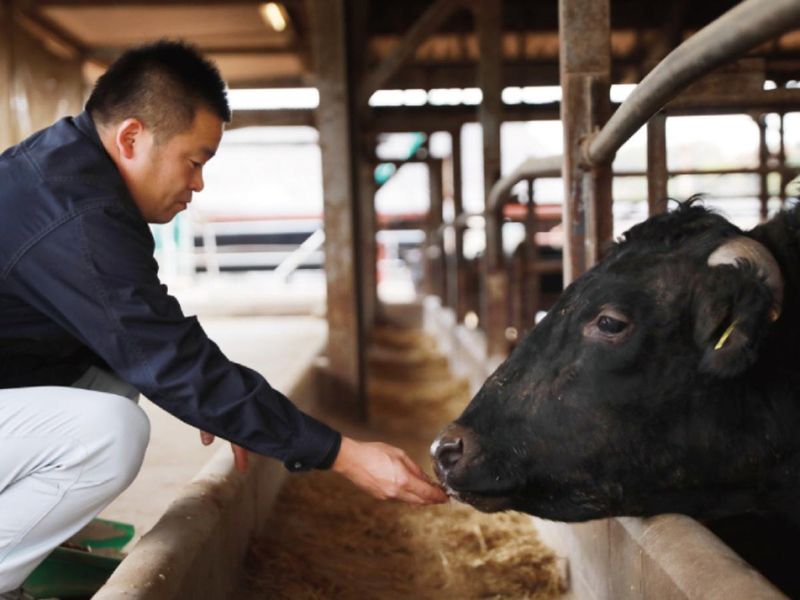株式会社下村畜産食肉