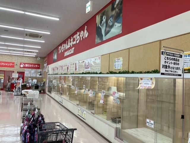 OneBuddy瀬田店のアルバイト・バイト求人情報-03
