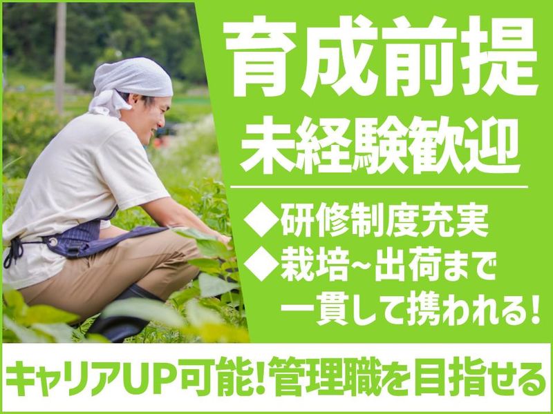 株式会社フローラ平山の求人・転職情報