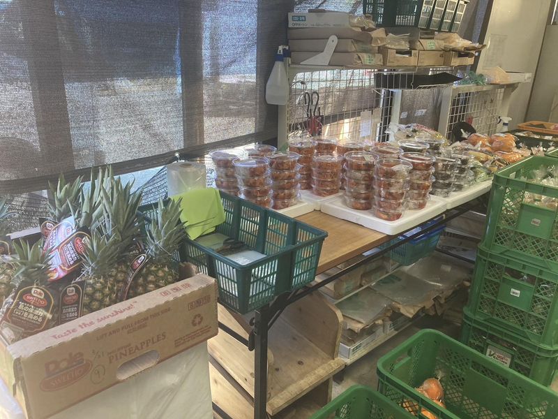 株式会社Natural Senseの求人情報