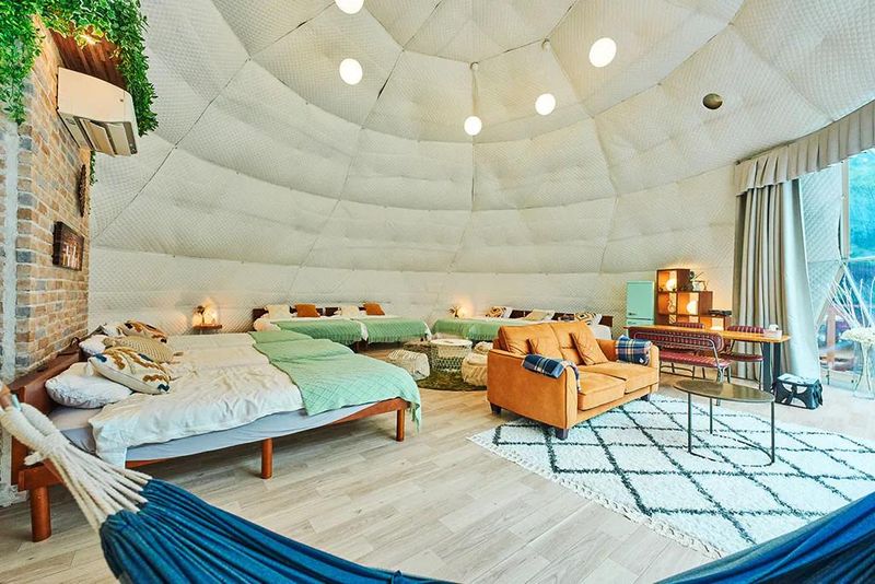 株式会社Ｚｅｄｄの求人・転職情報