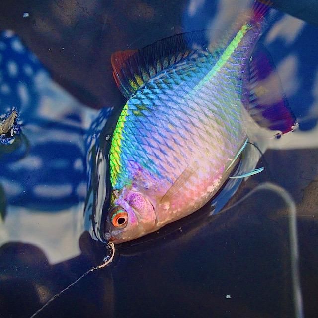 株式会社東和コーポレーション　秋葉原営業所【日進】のアルバイト・バイト求人情報-04