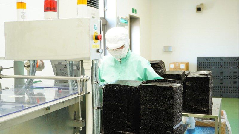 株式会社サンエイ海苔の求人・転職情報