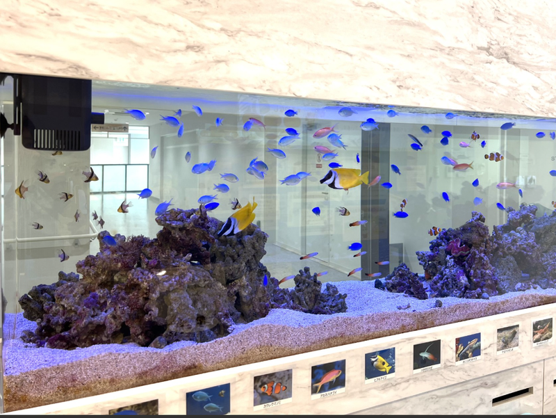 おおみち整形外科リハビリテーションクリニックの求人・転職情報