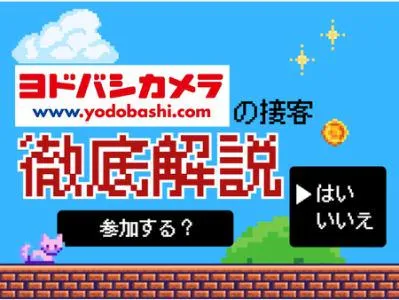 株式会社ヨドバシカメラ