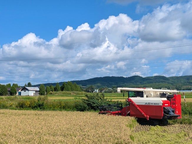 有限会社ファームキトラの求人・転職情報