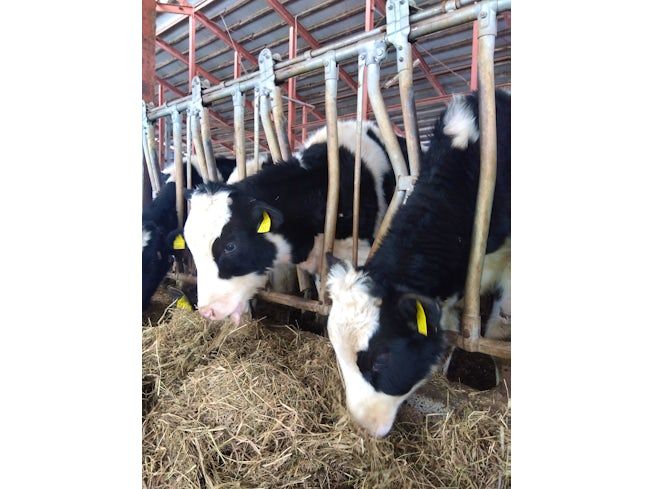 株式会社高田菊次郎商店の求人・転職情報