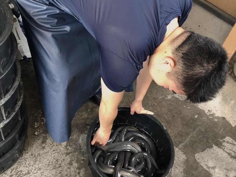 鰻まいもん　焼き一生のアルバイト・バイト求人情報-03