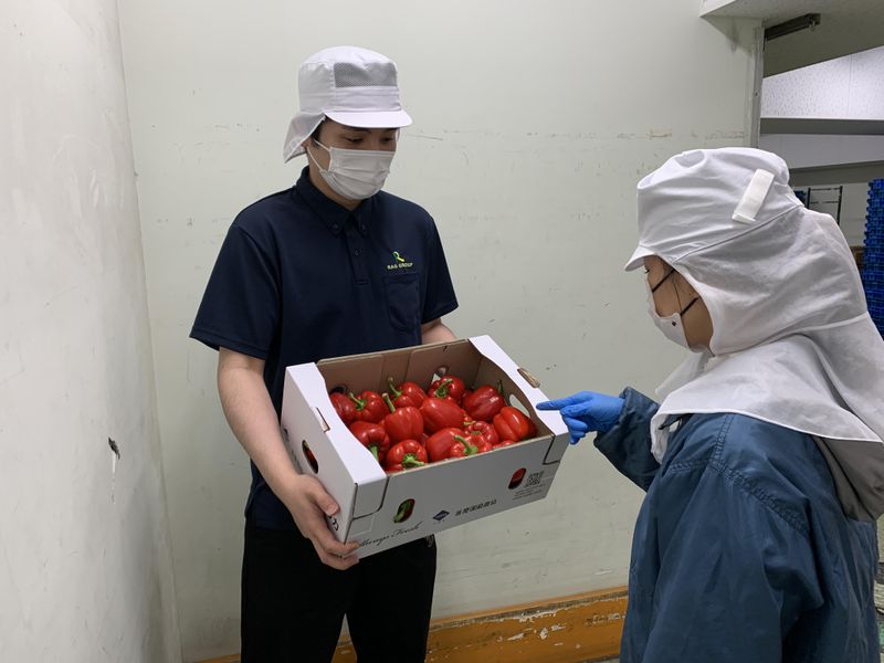 株式会社RAG東京　大阪支店　市場内のアルバイト・バイト求人情報-02