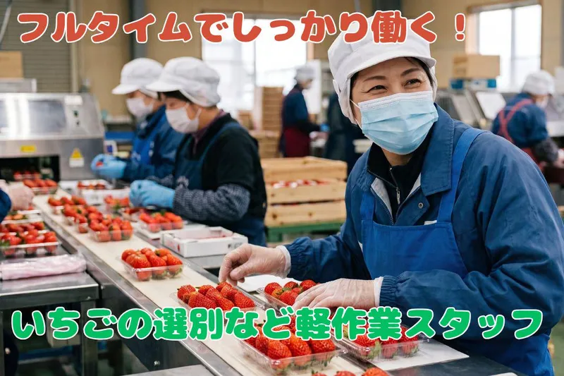 JAさが杵藤園芸センター　鹿島いちごパッケージセンター(浜選果場)のアルバイト・バイト求人情報