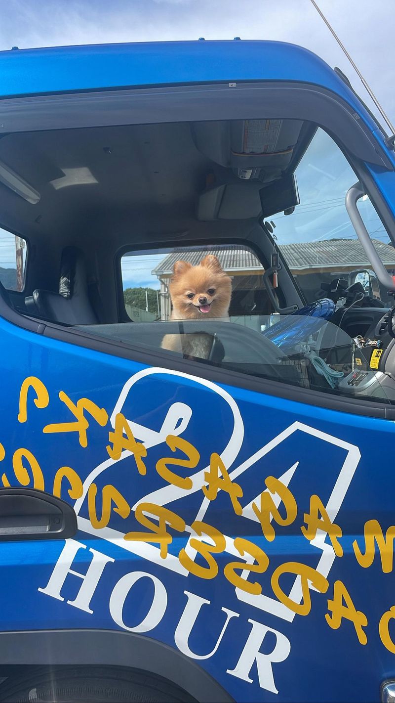 株式会社長崎ロードサービスの求人・転職情報