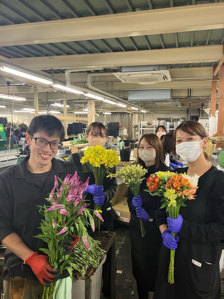 株式会社ダンクウェル