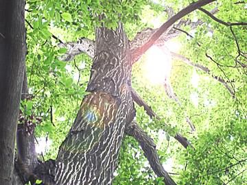 株式会社第一ビルサービスの求人・転職情報