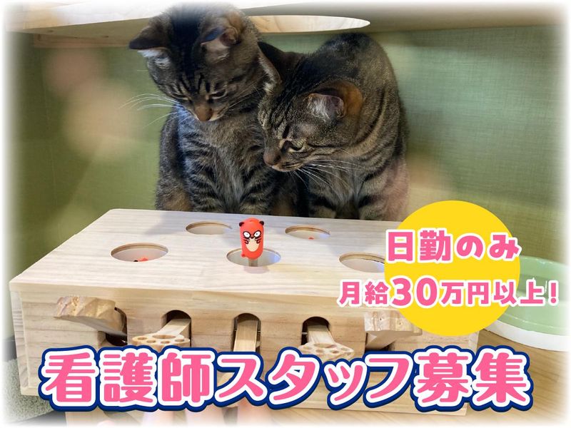 医療法人社団白報会の求人・転職情報