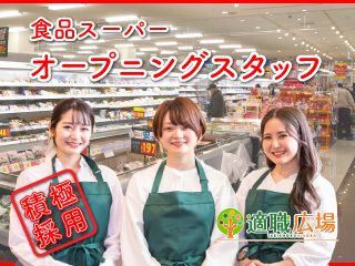 株式会社 プログレスのアルバイト・バイト求人情報-02