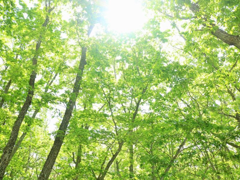 香部興業株式会社-0001の求人・転職情報