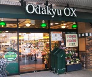 Odakyu OX X