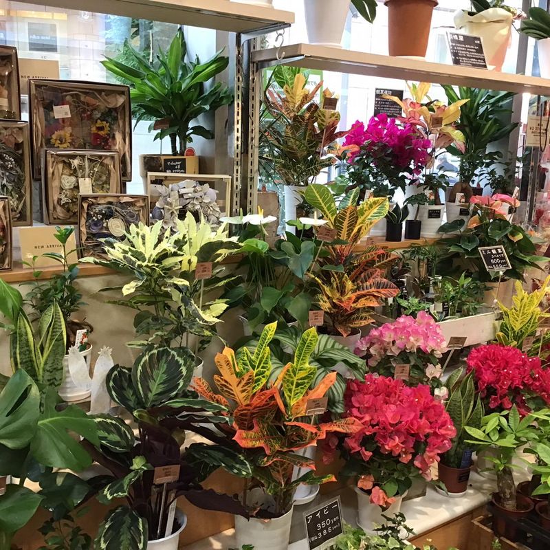 吉田園　フォーシーズン店のアルバイト・バイト求人情報-04