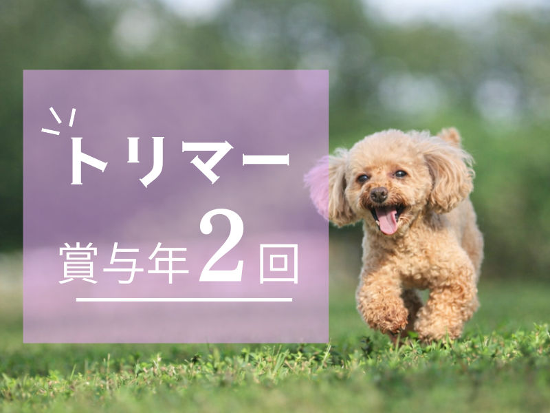 I's Dog 瑞穂店のアルバイト・バイト求人情報-06