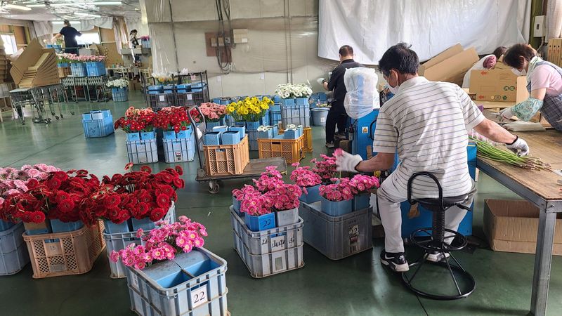 JAとぴあ浜松　花き営農センター