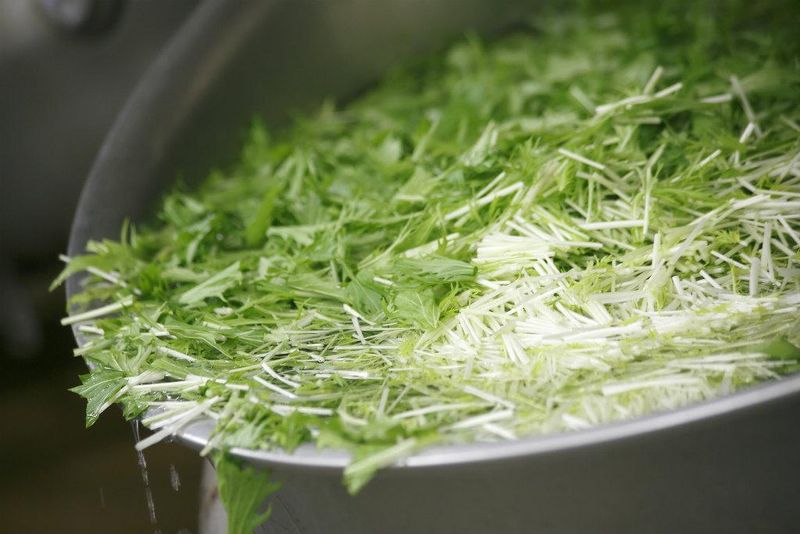 株式会社山路フードシステム湘南事業所のアルバイト・バイト求人情報-02