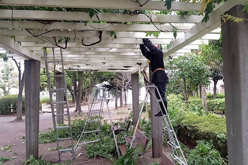 株式会社大和緑化(現場: 東京都板橋区/大学の緑地管理)のアルバイト・バイト求人情報-05