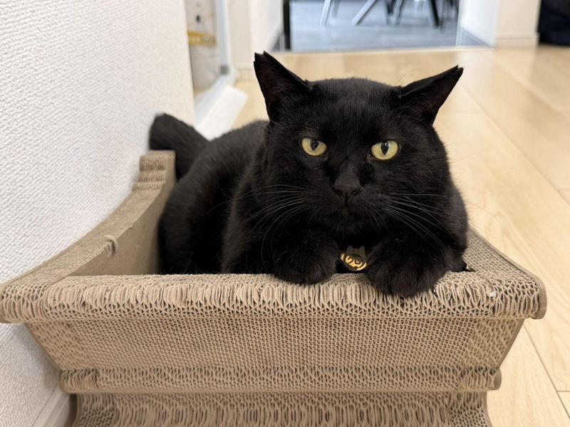 株式会社R-oneの求人・転職情報