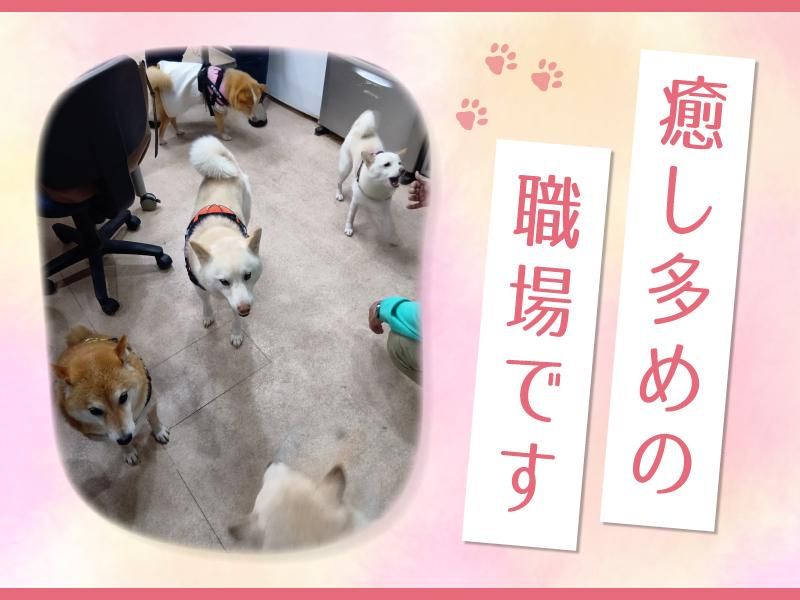 有限会社　ニコニコ介護センターの求人・転職情報