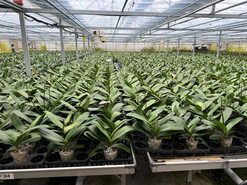 株式会社リーフの求人・転職情報