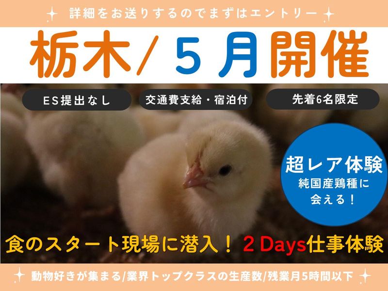 【栃木/2Days】レア体験 鶏肉の秘密に迫る2Days!