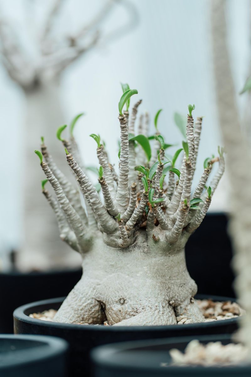 株式会社松竹園のアルバイト・バイト求人情報-03