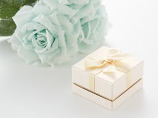 フィールドサーブジャパン　営業第2グループの派遣求人情報