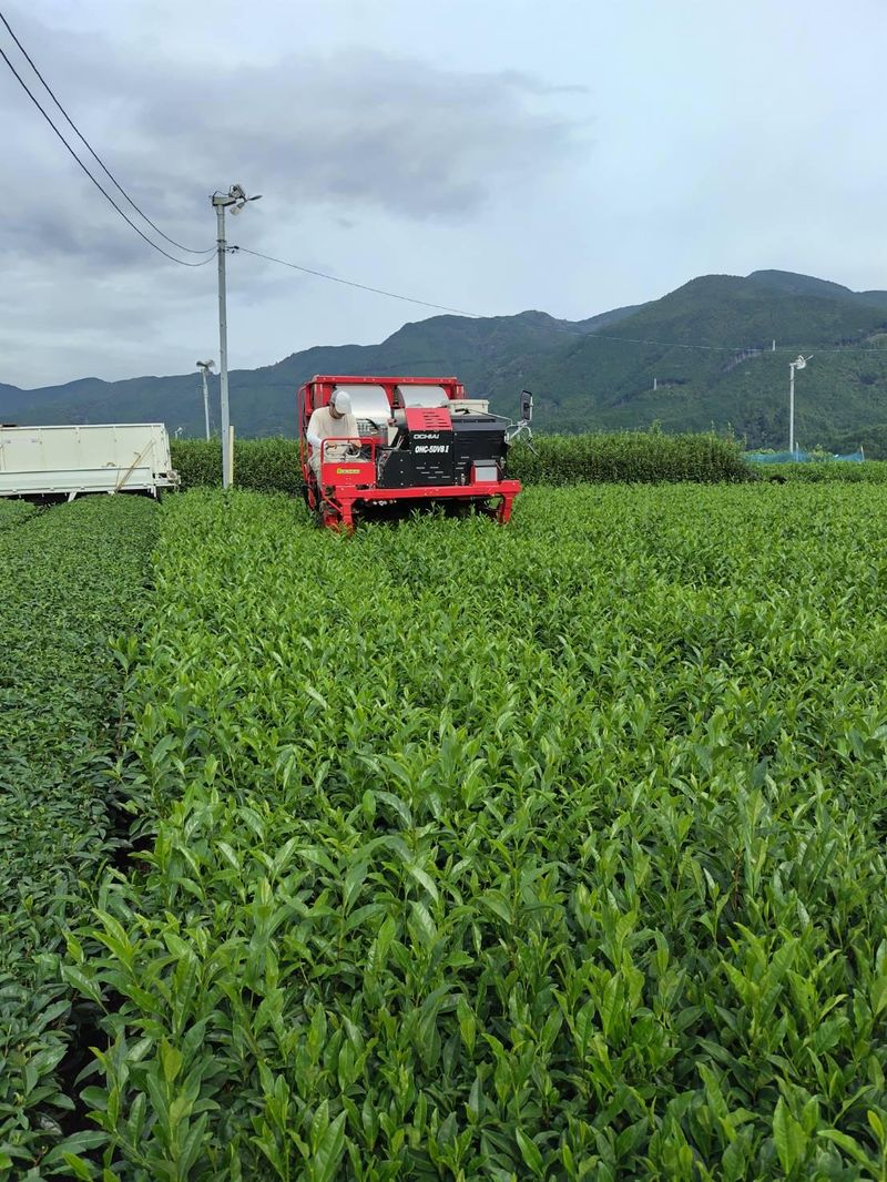 農業生産法人　有限会社クリーンティ松野のアルバイト・バイト求人情報-04