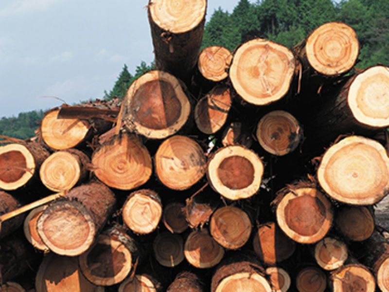 株式会社　山友の求人・転職情報