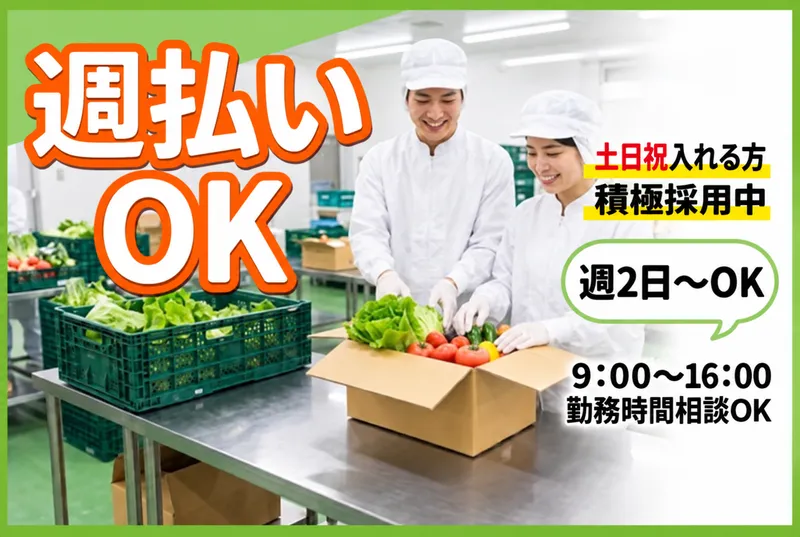 株式会社サンライズジャパンのアルバイト・バイト求人情報