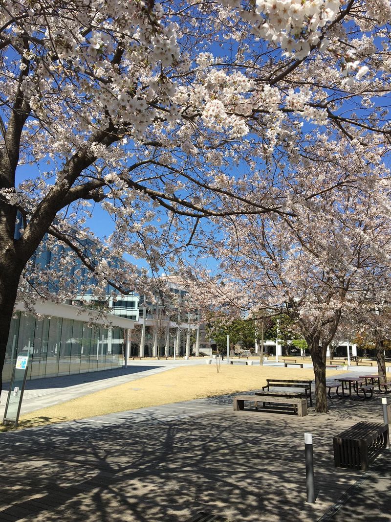 株式会社神奈川工科大企画　勤務地/神奈川工科大学内の求人情報